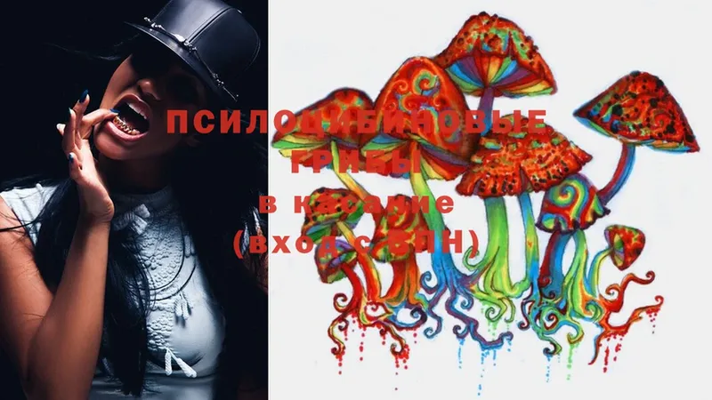 сколько стоит  Ковылкино  Галлюциногенные грибы Magic Shrooms 